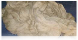 Pamuklu dokuma at��� �r�nlerimiz i�in t�klay�n�z.